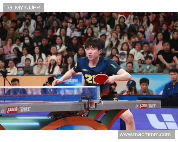 南京乒乓球队总决赛背后的奋斗故事与荣耀时刻