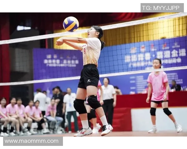 广州排球队荣登全国排球配合排行榜第二名展现强大实力